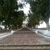 Calza (1)